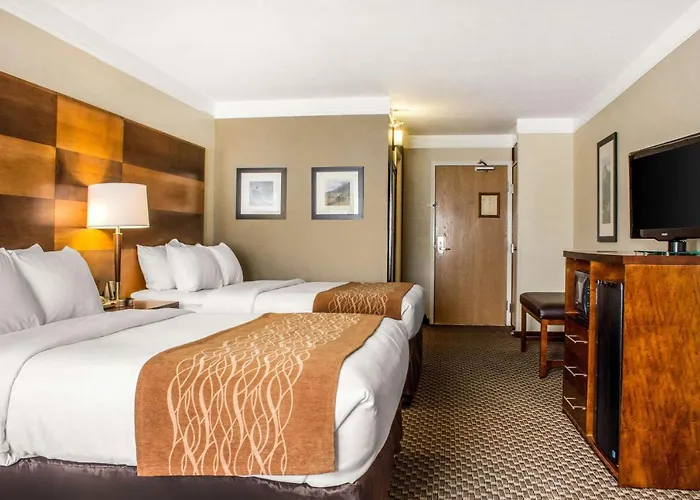 Comfort Inn & Suites Durango