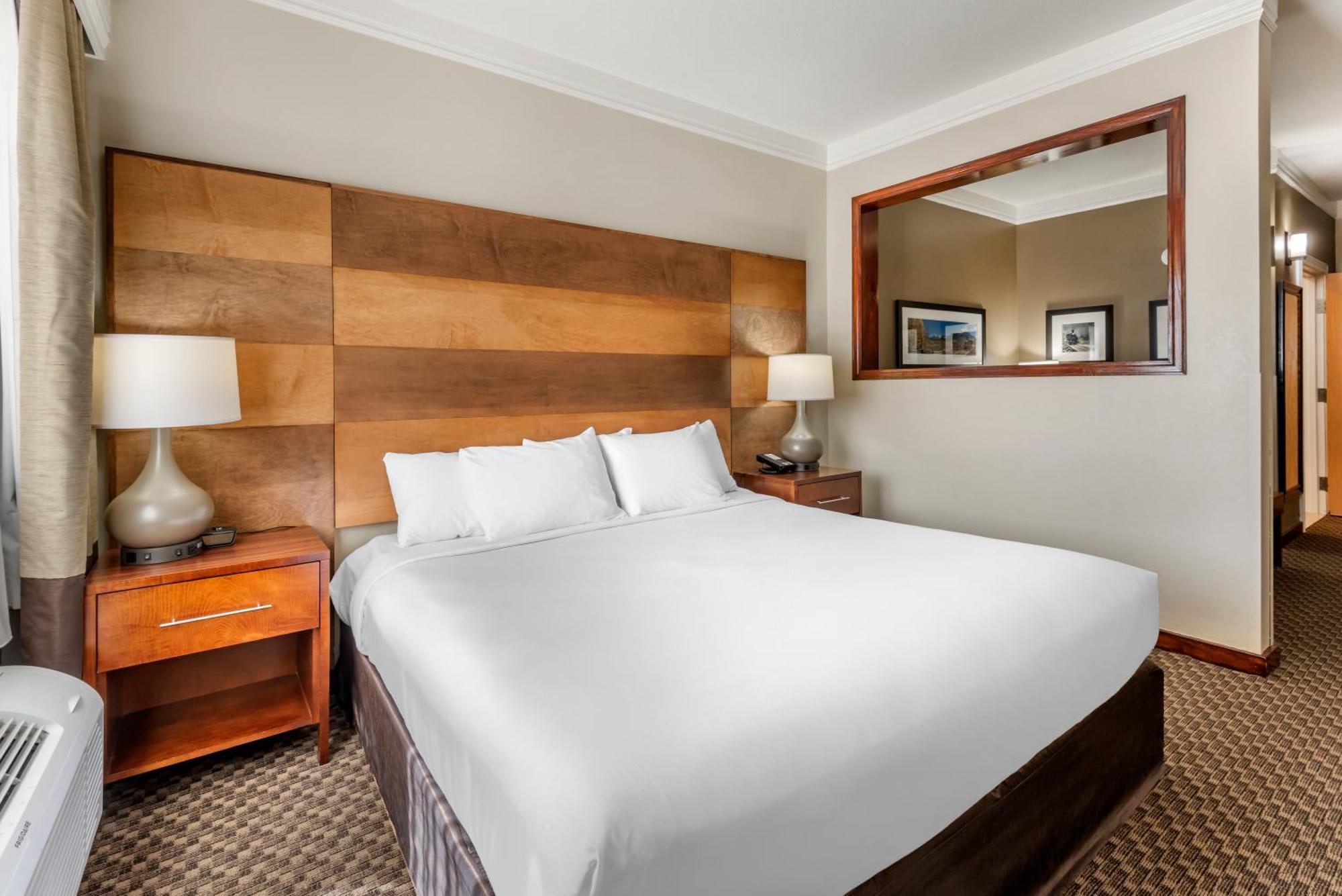 Comfort Inn&suites Hotel